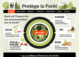 Protège la forêt – WWF