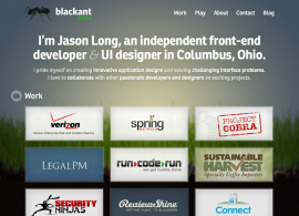 Black Ant Media