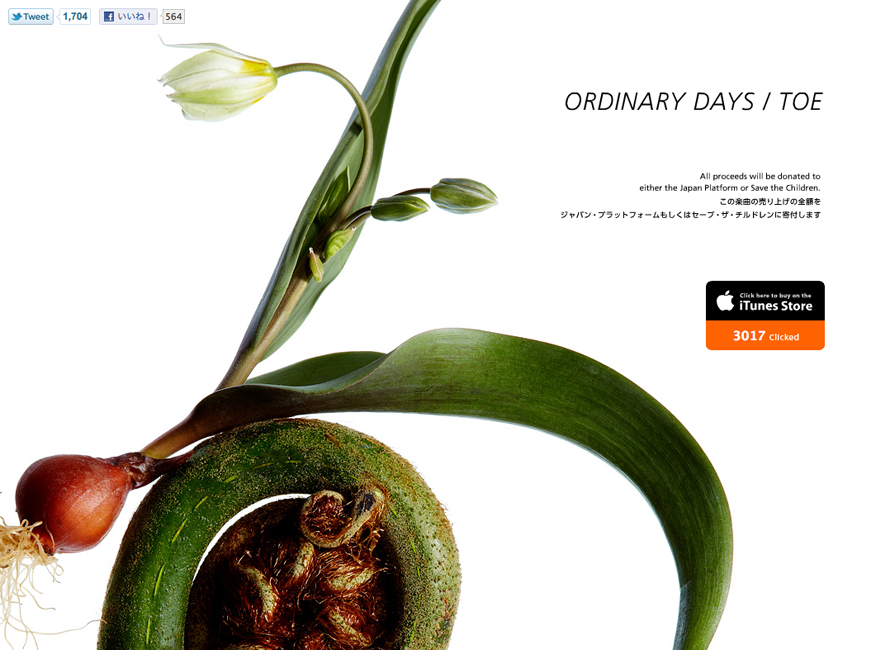 Ordinary Days / toe