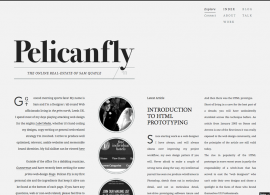 Pelican Fly