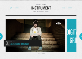 Instrument