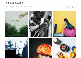 STANDARD / Yasuhiro Yamazaki