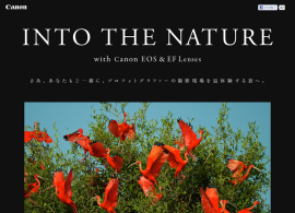 キヤノン：ティム・レイマン　スペシャルサイト「INTO THE NATURE」