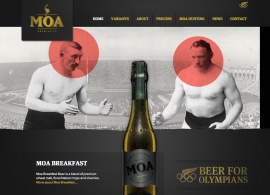 Moa Beer