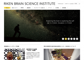 理化学研究所 脳科学総合研究センター