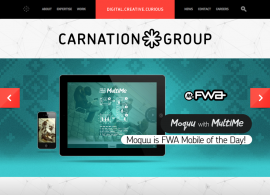 CarnationGroup