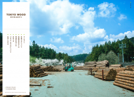 TOKYO WOOD